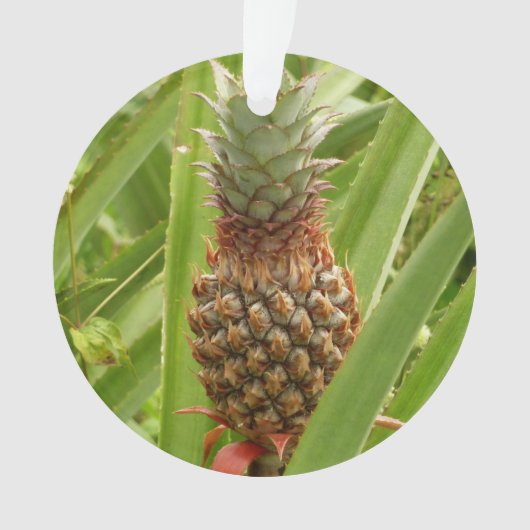 Wilde ananas tropische vruchten in Natuur Ornament (voorkant)