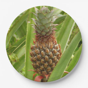Wilde ananas tropische vruchten in Natuur Papieren Bordje