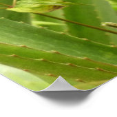 Wilde ananas tropische vruchten in Natuur Poster (Hoek)