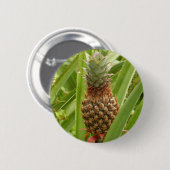 Wilde ananas tropische vruchten in Natuur Ronde Button 5,7 Cm (Voorkant /achterkant)