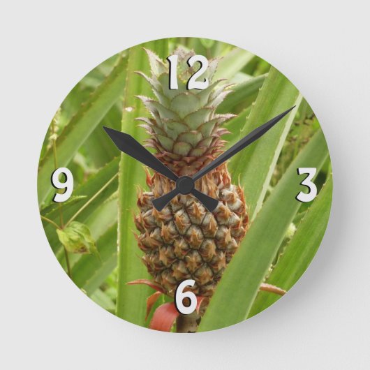 Wilde ananas tropische vruchten in Natuur Ronde Klok (Voorkant)