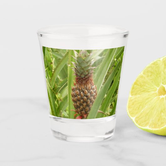 Wilde ananas tropische vruchten in Natuur Shot Glas (Voorkant)