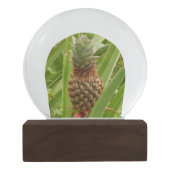 Wilde ananas tropische vruchten in Natuur Sneeuwbol (Achterkant)