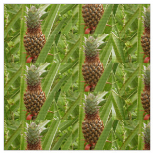 Wilde ananas tropische vruchten in Natuur Stof
