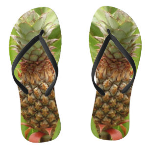 Wilde ananas tropische vruchten in Natuur Teenslippers