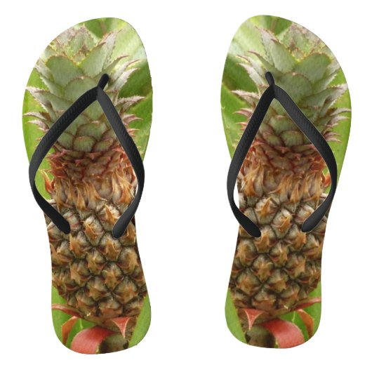 Wilde ananas tropische vruchten in Natuur Teenslippers (Voetbed)