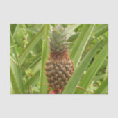 Wilde ananas tropische vruchten in Natuur Tissuepapier (Voorkant)