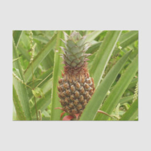 Wilde ananas tropische vruchten in Natuur Tissuepapier