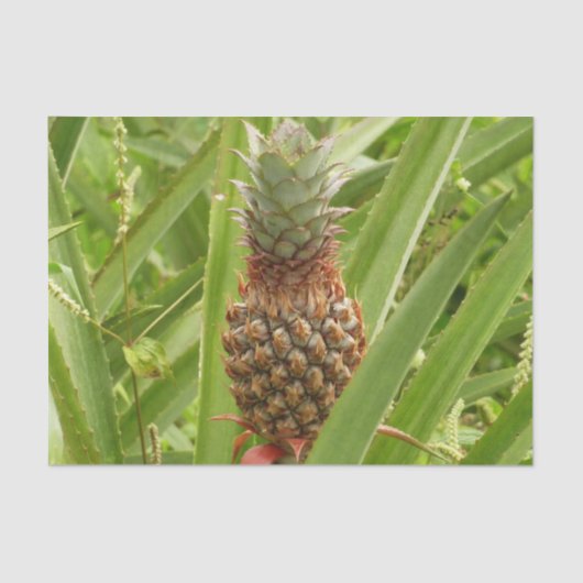 Wilde ananas tropische vruchten in Natuur Tissuepapier (Voorkant)