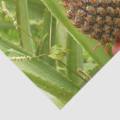 Wilde ananas tropische vruchten in Natuur Tissuepapier (Detail)