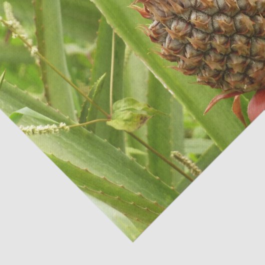 Wilde ananas tropische vruchten in Natuur Tissuepapier (Detail)