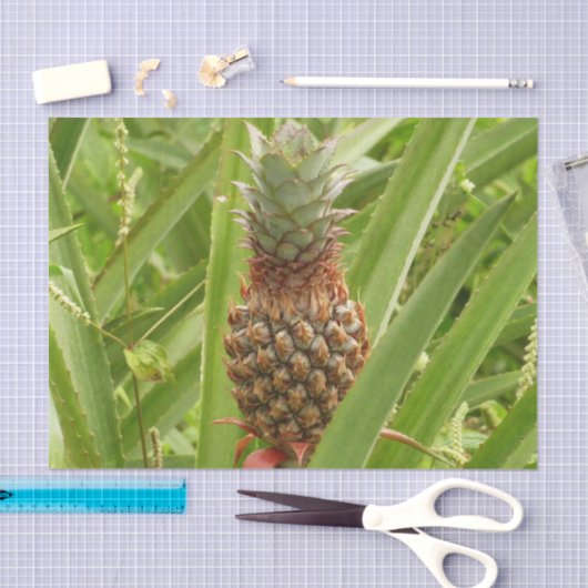 Wilde ananas tropische vruchten in Natuur Tissuepapier (Craft)