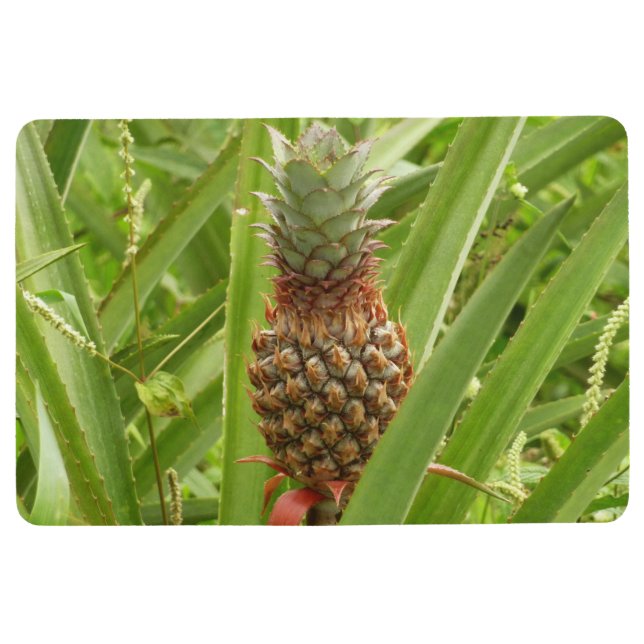 Wilde ananas tropische vruchten in Natuur Vloermat (Voorkant)