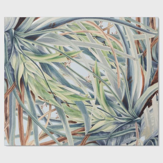  wilde ananas | van Mary Vaux Walcott 1921 Cadeaupapier (Vlak)