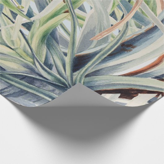 wilde ananas | van Mary Vaux Walcott 1921 Cadeaupapier (Hoek)