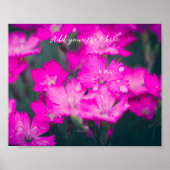 Wilde anjers na regen poster (Voorkant)