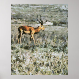 Wilde antilope in een beemddierschilderij poster