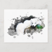 *~* Wilde AP18 Sneeuwpoolvos Briefkaart (Voorkant)