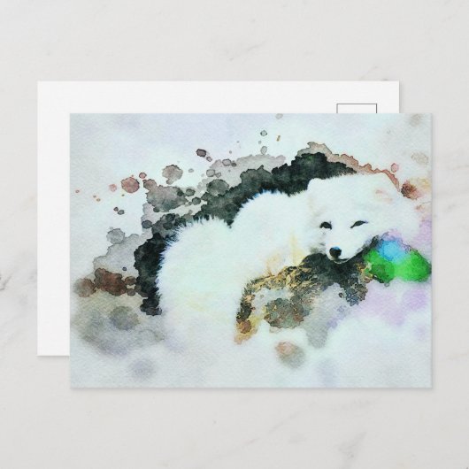 *~* Wilde AP18 Sneeuwwitpoolvos Briefkaart (Voorkant / Achterkant)