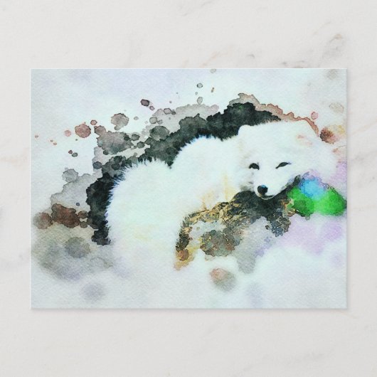 *~* Wilde AP18 Sneeuwwitpoolvos Briefkaart (Voorkant)