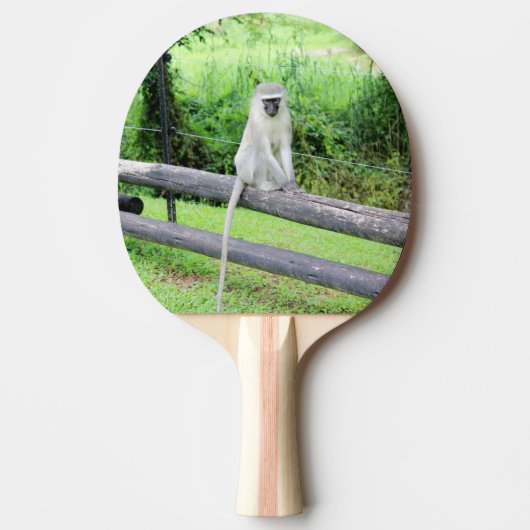 Wilde apen Dier Tafeltennisbatje (Voorkant)