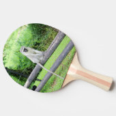 Wilde apen Dier Tafeltennisbatje (Zijkant)