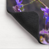 Wilde Asters Muismat (Hoek)