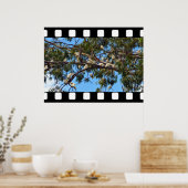 Wilde Australian Cockatoos in Gum Trees Poster (Keuken)