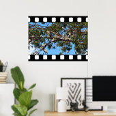 Wilde Australian Cockatoos in Gum Trees Poster (Thuiskantoor)