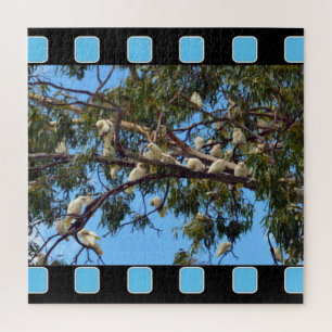 Wilde Australische kaketoes in gombomen, Legpuzzel