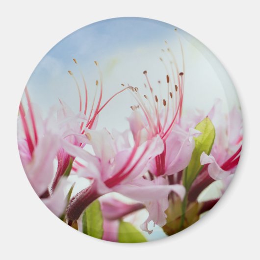 wilde azalea magneet (Voorkant)