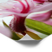 wilde azalea poster (Hoek)