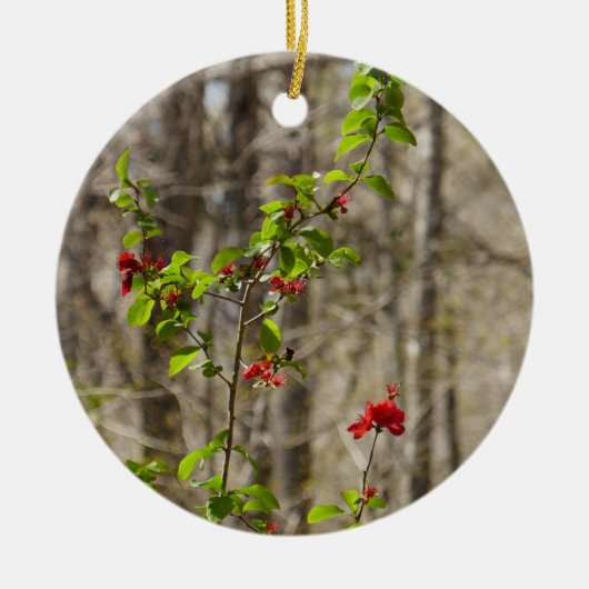 Wilde Azaleaboom in Smoky Mountains Keramisch Ornament (Voorkant)