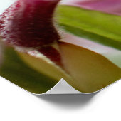 wilde azalea's poster (Hoek)