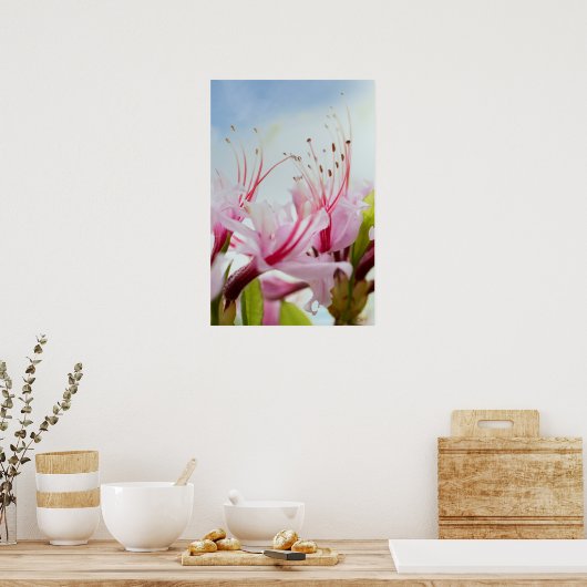 wilde azalea's poster (Keuken)