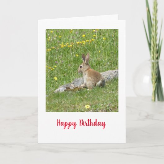 Wilde baby konijn Birthday-kaart Kaart (Voorkant)