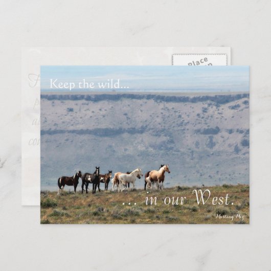 Wilde band, vooraf behandeld: Sec of the Interior Briefkaart (Voorkant / Achterkant)