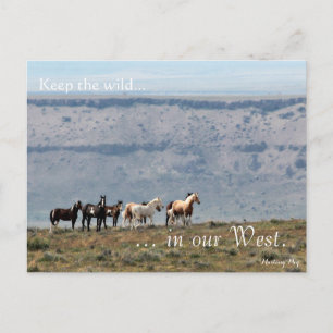 Wilde band, vooraf behandeld: Sec of the Interior Briefkaart