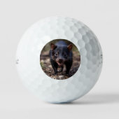 Wilde Beginnings: De Jonge Tasmaanse Duivel Golfballen (Voorkant)