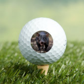 Wilde Beginnings: De Jonge Tasmaanse Duivel Golfballen (Insitu Shirt)