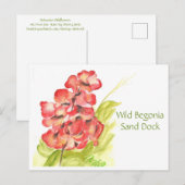 Wilde Begonia Ansichtkaart Briefkaart (Voorkant / Achterkant)