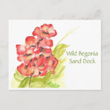 Wilde Begonia Ansichtkaart