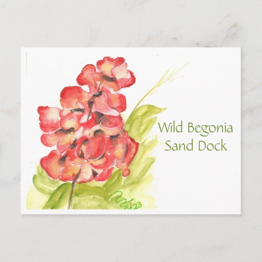 Wilde Begonia Ansichtkaart Briefkaart (Voorkant)