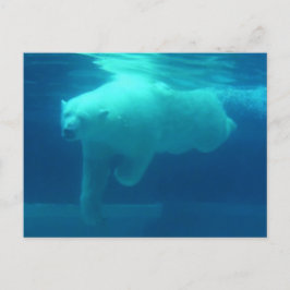 Wilde Beren Briefkaart