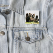 Wilde Beren Vierkante Button 5,1 Cm (In situ)