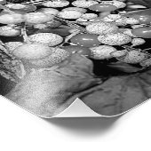 Wilde bessen in zwart-wit Natuur 8x10 Foto Afdruk (Hoek)