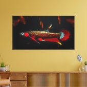 Wilde Betta Livida – De Schoonheid van het Zwartew Canvas Afdruk (Insitu (Woonkamer))