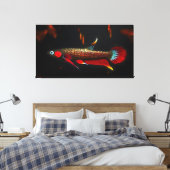 Wilde Betta Livida – De Schoonheid van het Zwartew Canvas Afdruk (Insitu (Slaapkamer))