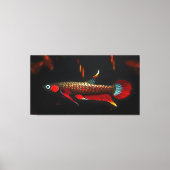 Wilde Betta Livida – De Schoonheid van het Zwartew Canvas Afdruk (Voorkant)