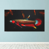Wilde Betta Livida – De Schoonheid van het Zwartew Canvas Afdruk (Insitu (Houten vloer))